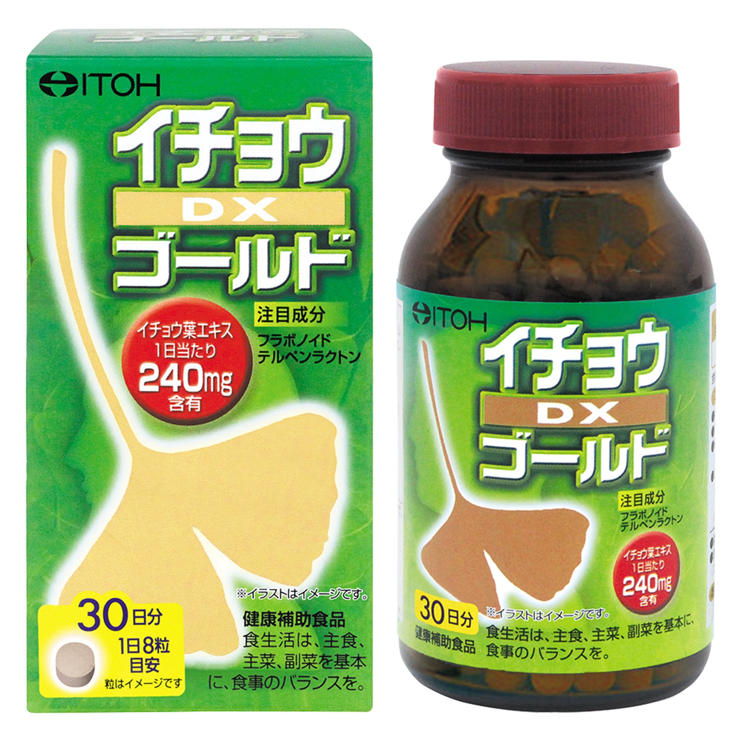 ITOH 井藤漢方 銀杏 DX精華錠 (30日份) (250mg×240粒)